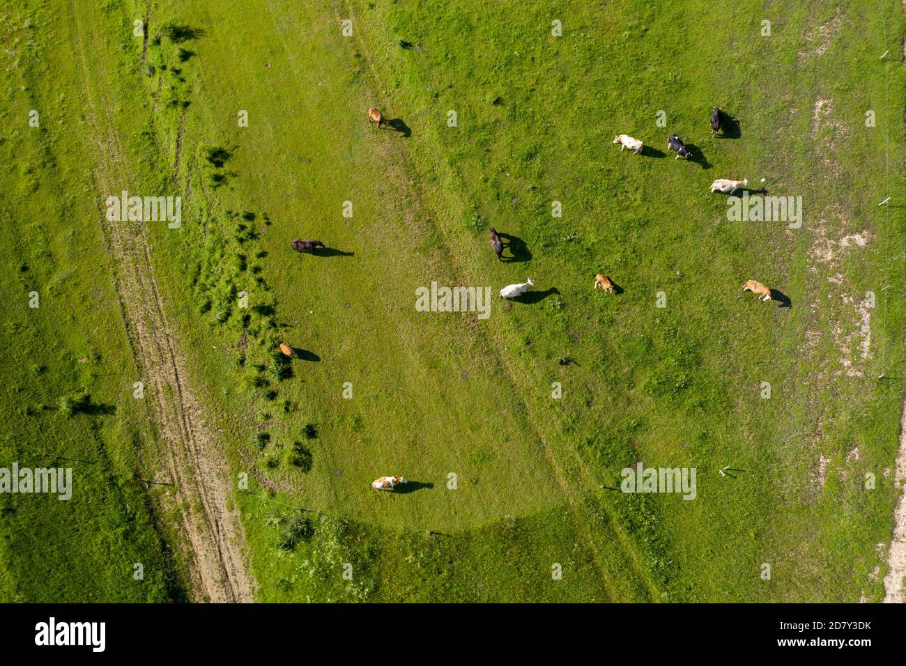 Aerial view group people hiking hi-res stock photography and images - Alamy