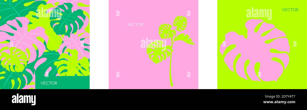 Jungle vegitation flat color vector backgrounds set Stock Vector