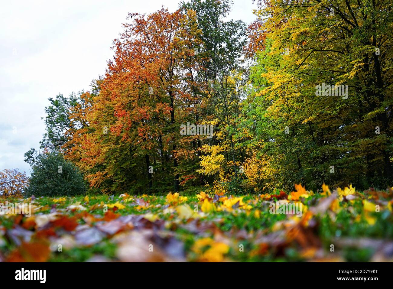 Farben In Der Nhe