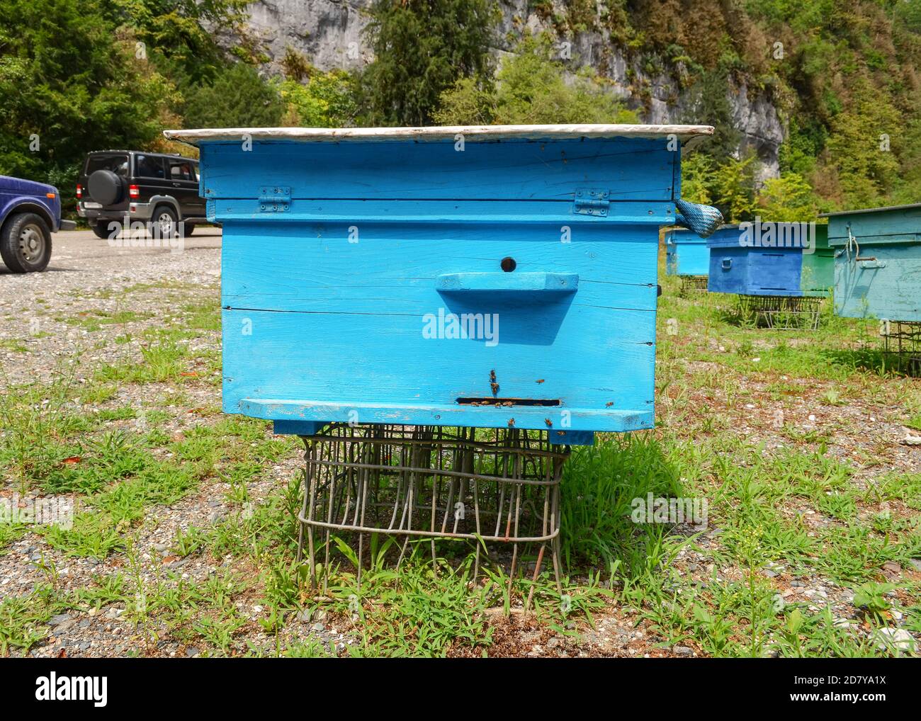 Blue bee hives on an apiary in the Caucasian mountains in Abkhazia Stock Photo