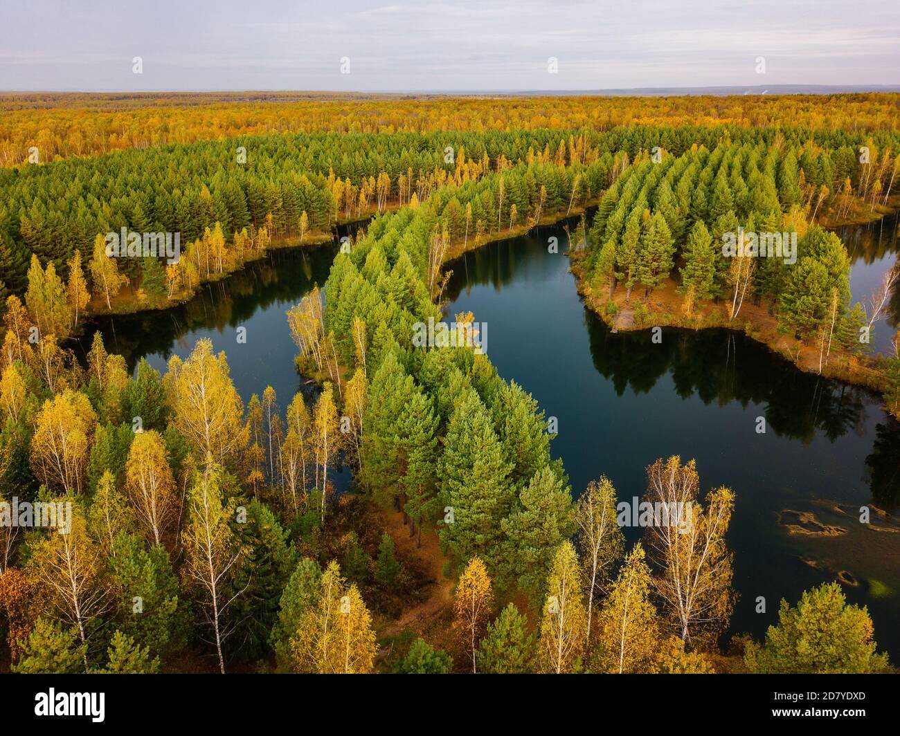 Aerial view of beautiful natural landscape. Lake in golden autumn ...