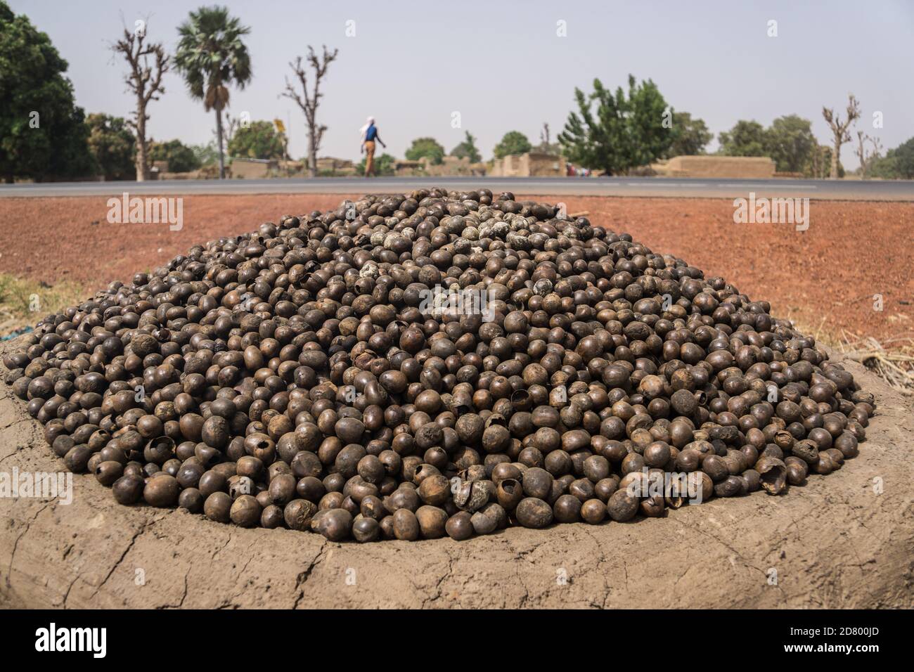 A pile of shea nuts on top of a mud oven being roasted, Mali, West Africa Stock Photo