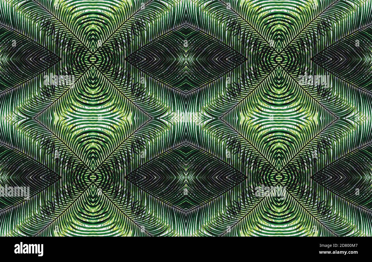 An image of the leaves of a majestic palm tree(Ravenea rivularis) is flipped and repeated to make an abstract design of mirror symmetry Stock Photo