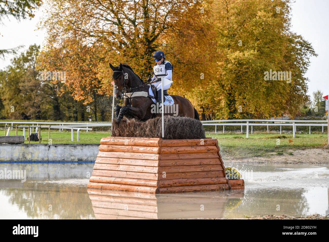 Laura COLLETT (GBR) riding LONDON 52  during the cross country phase at the Les Étoiles de Pau held at Domaine de Sers just outside Pau in the Pyrénée Stock Photo