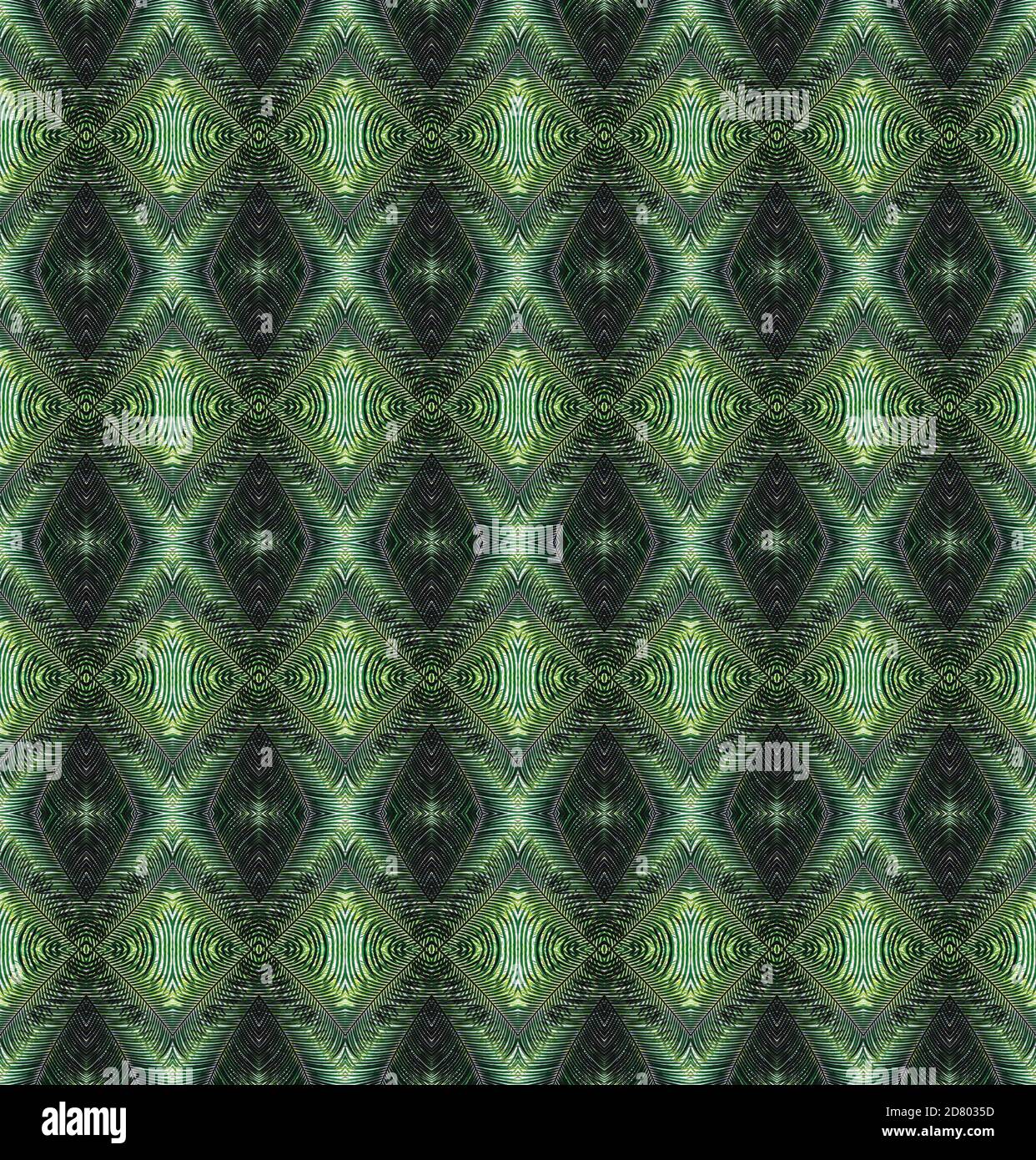 An image of the leaves of a majestic palm tree(Ravenea rivularis) is flipped and repeated to make an abstract design of mirror symmetry Stock Photo