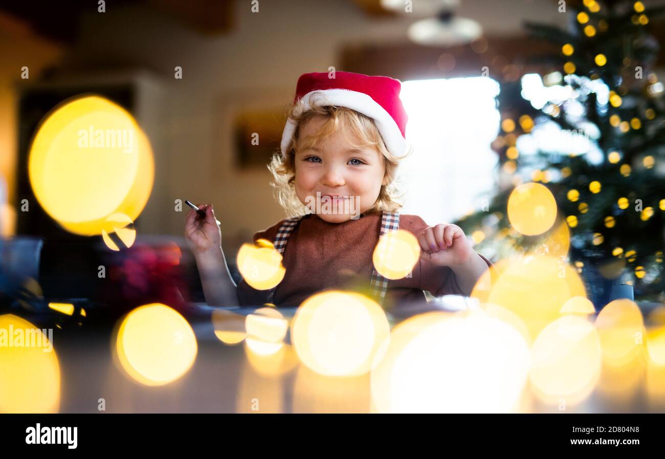 Portrait of small girl indoors at home at Christmas, painting pictures. Stock Photo