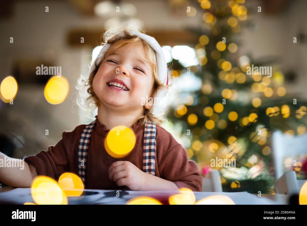 Portrait of small girl indoors at home at Christmas, laughing. Stock Photo