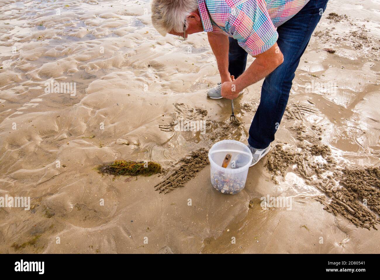 Man digging for razor clams hi-res stock photography and images - Alamy