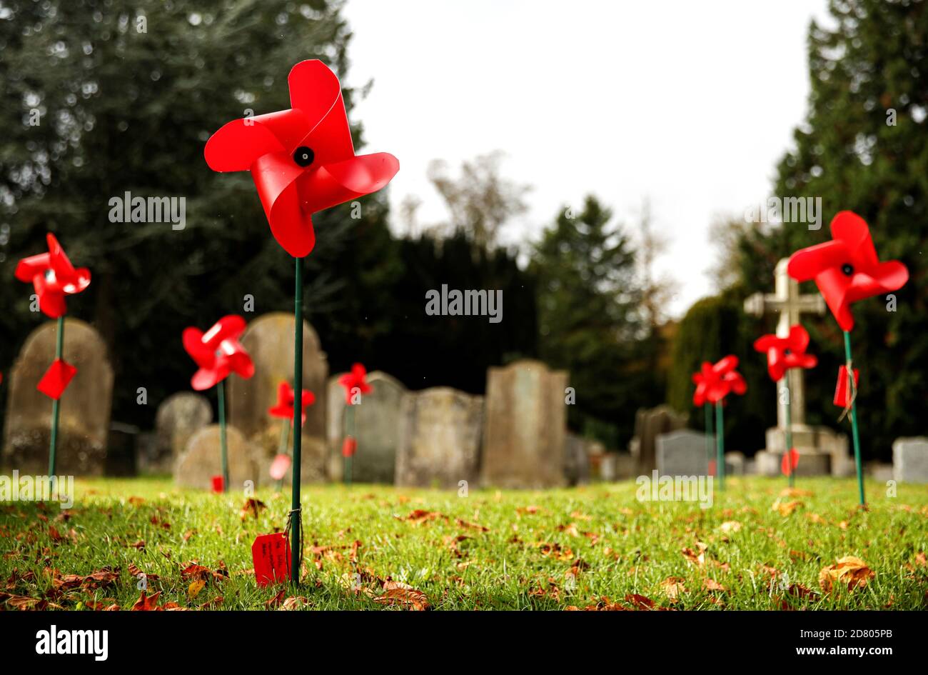 An installation of plastic poppies is seen at the Parish Church of St Helen in Wheathampstead, Britain October 26, 2020. REUTERS/Matthew Childs Stock Photo