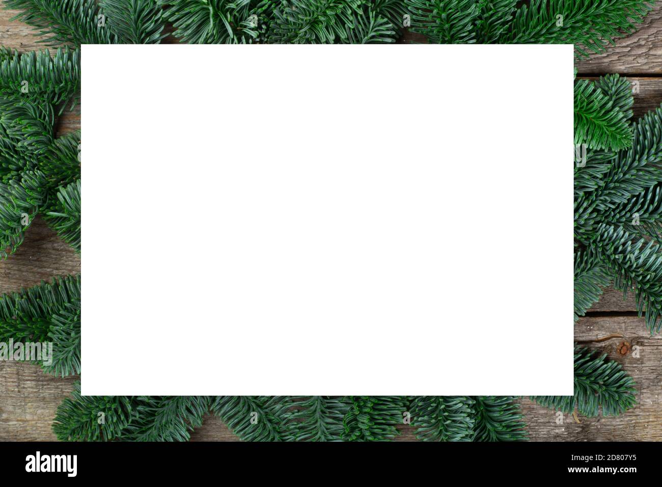 Christmas frame of natural fir tree branches with copy space for text ...