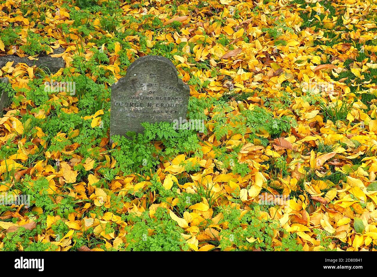 London, UK. 26th Oct, 2020. London's Autumn colours displayed in West Brompton cemetery, Chelsea. Credit: Brian Minkoff/Alamy Live News Stock Photo