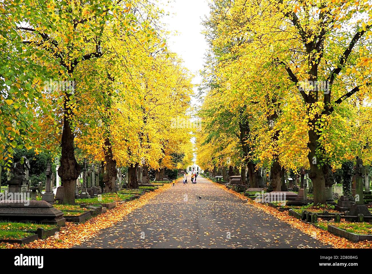 London, UK. 26th Oct, 2020. London's Autumn colours displayed in West Brompton cemetery, Chelsea. Credit: Brian Minkoff/Alamy Live News Stock Photo