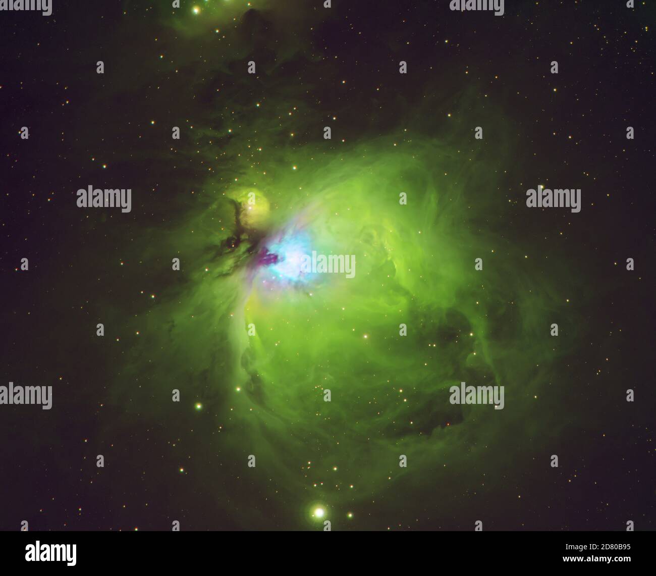 London, UK. October 2020. Narrowband image of the Orion Nebula using  filters to pick up Hydrogen and Oxygen III emission regions of this vast gas cloud 1344 light years from Earth. Exposure time 2.5 hours taken with a filtered monochrome astrophotography camera cooled to -15 degrees. Credit: Malcolm Park/Alamy. Stock Photo