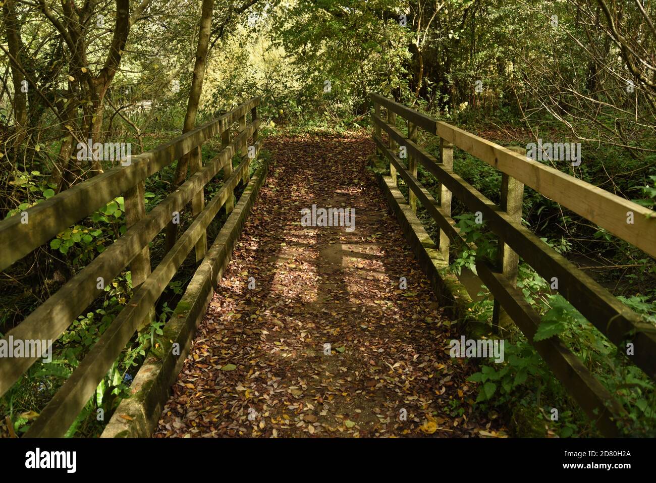 wooden bridge at a nature reserve Stock Photo