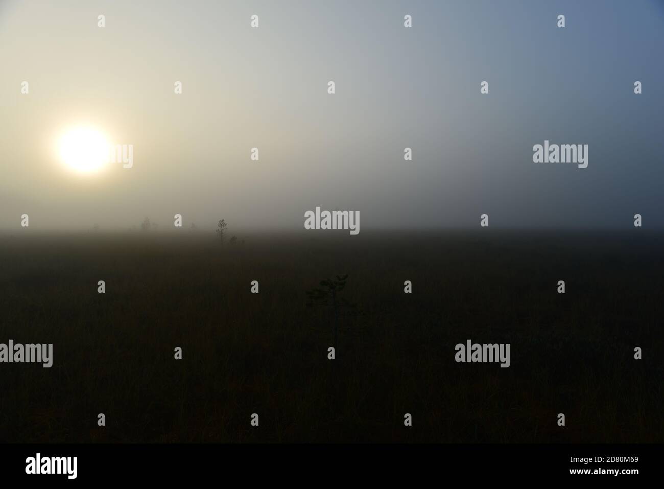 Majestic dawn glowing sun in swamp fog Stock Photo