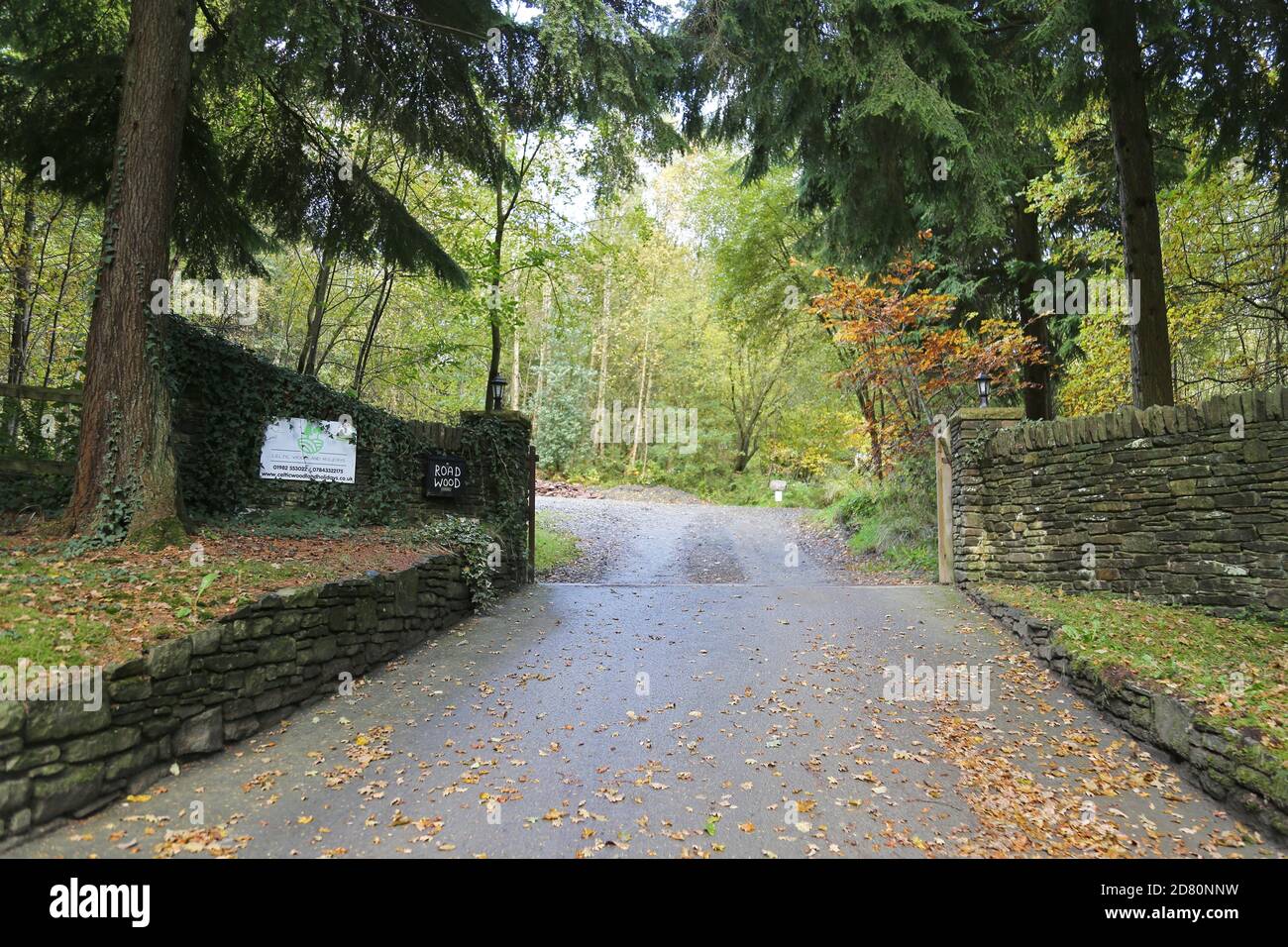 Entrance driveway, Celtic Woodland Holidays, Road Wood, Builth Wells, Brecknockshire, Powys, Wales, Great Britain, United Kingdom, UK, Europe Stock Photo