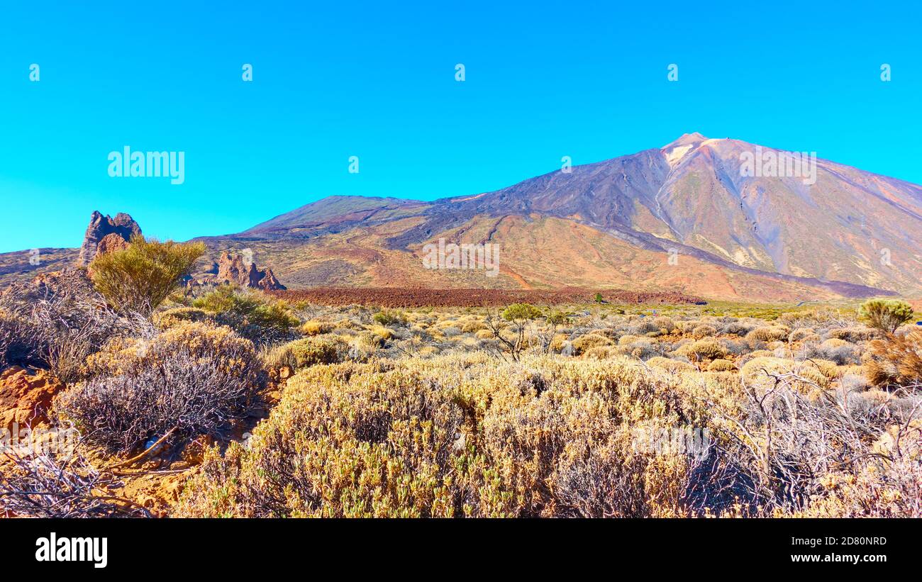 Panoramic view with The Teide volcano in Tenerife, The Canaries, Spain. Highland landscape Stock Photo