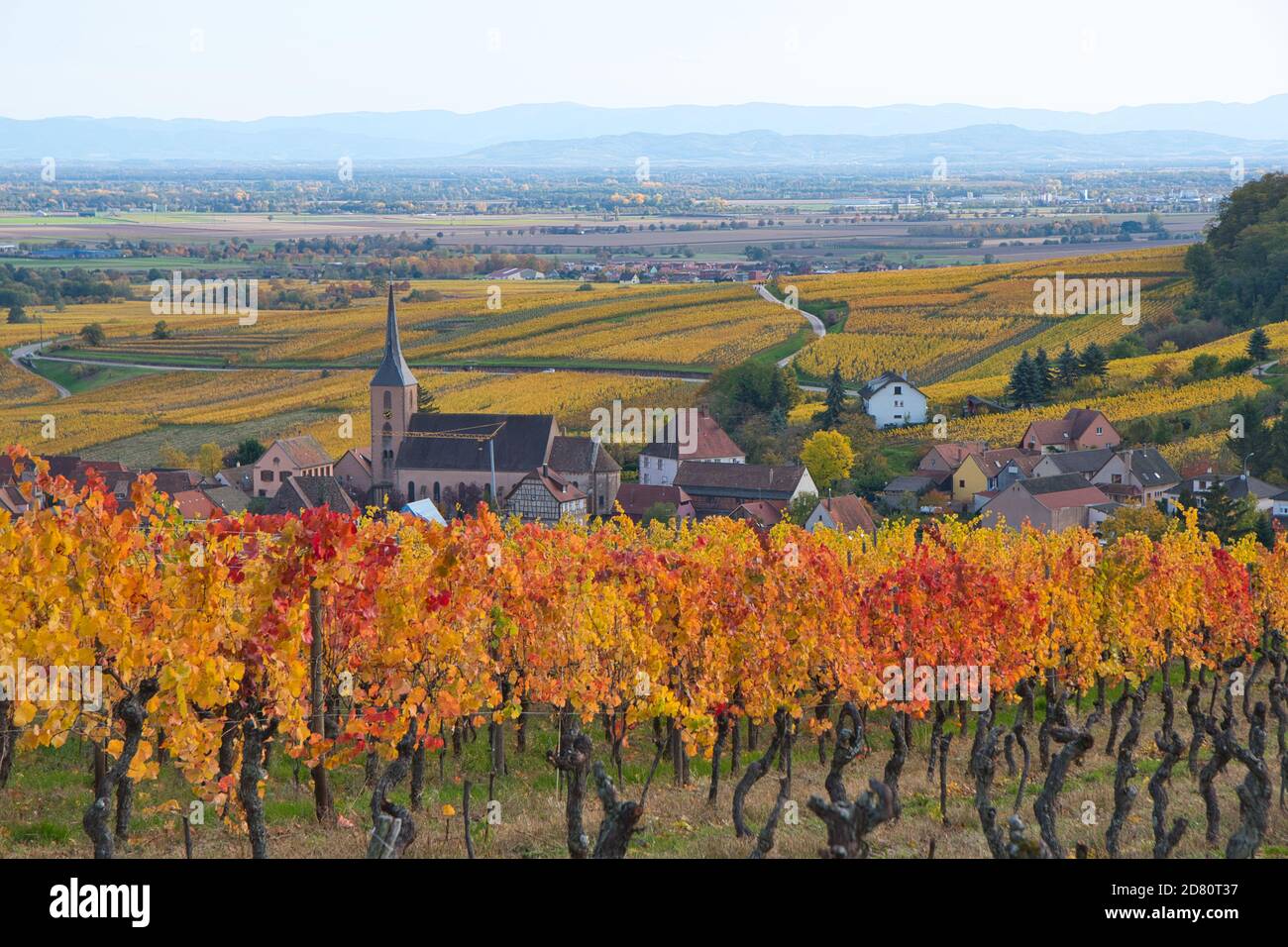 vineyards-in-the-heights-of-the-little-village-of-blienschwiller-in