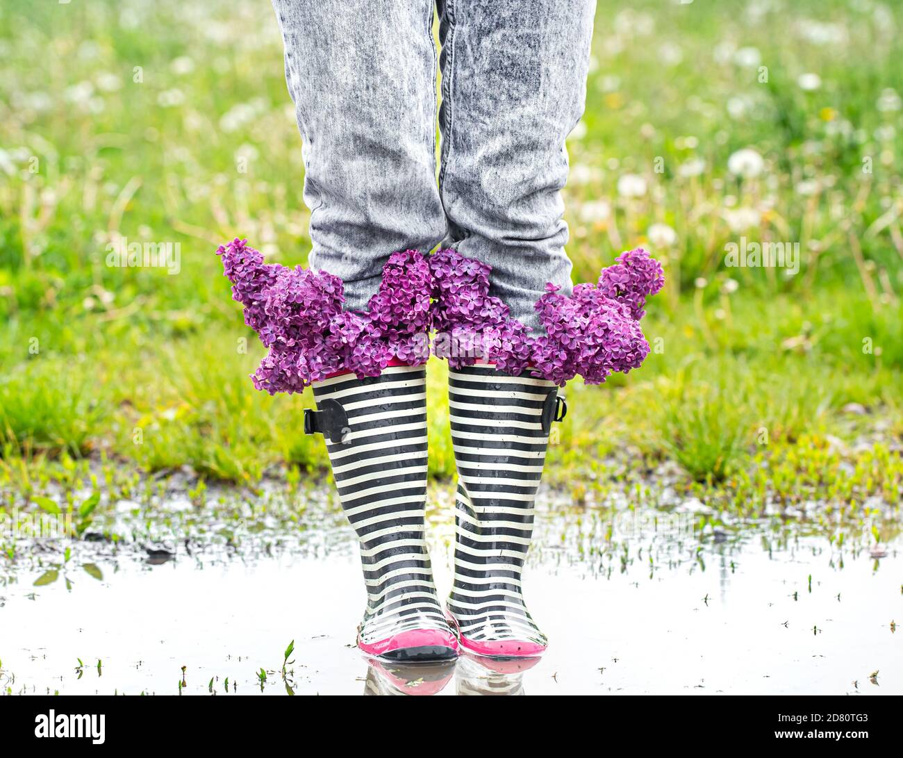 Creative background. A young woman in rubber boots with Lilac flowers ...