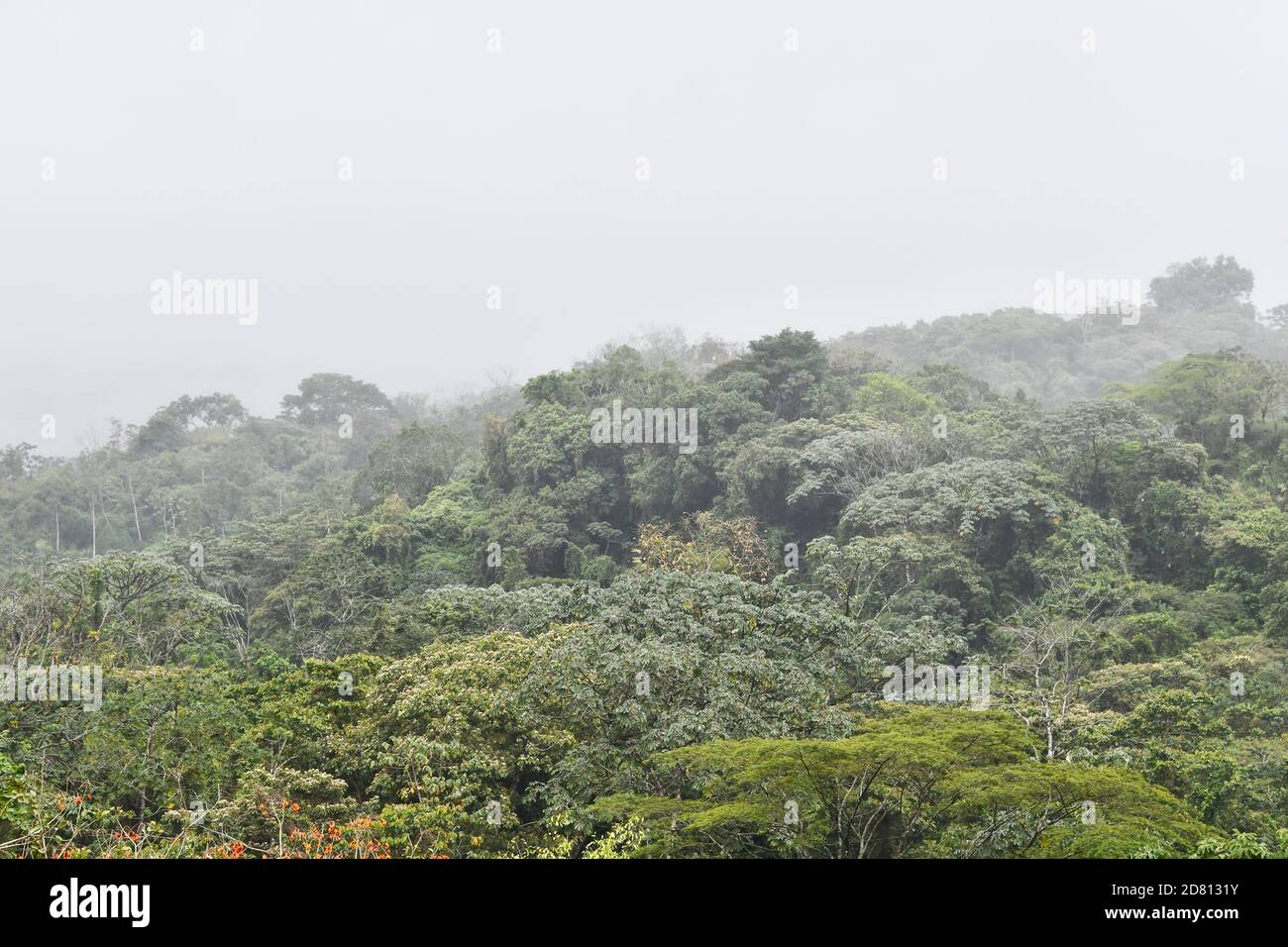 view of mountains, photo as a background ,taken in Arenal Volcano lake park in Costa rica central america Stock Photo