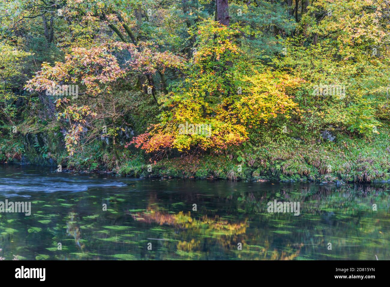 England. This is Autumn in the Lake District with Autumn colours on the River Rothay in the Langdale valley Stock Photo