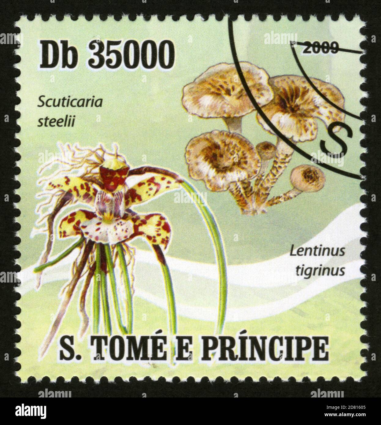 Stamp print in Saint Thomas and Prince,mushrooms and flowers,Lentinus tigrinus Stock Photo