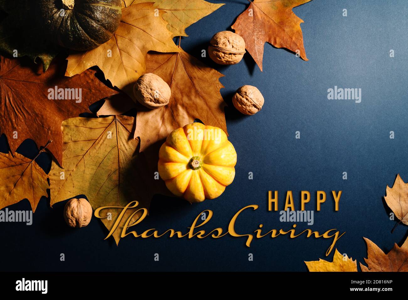 Happy Thanksgiving Day with maple leaves, nut and pumpkin on blue ...