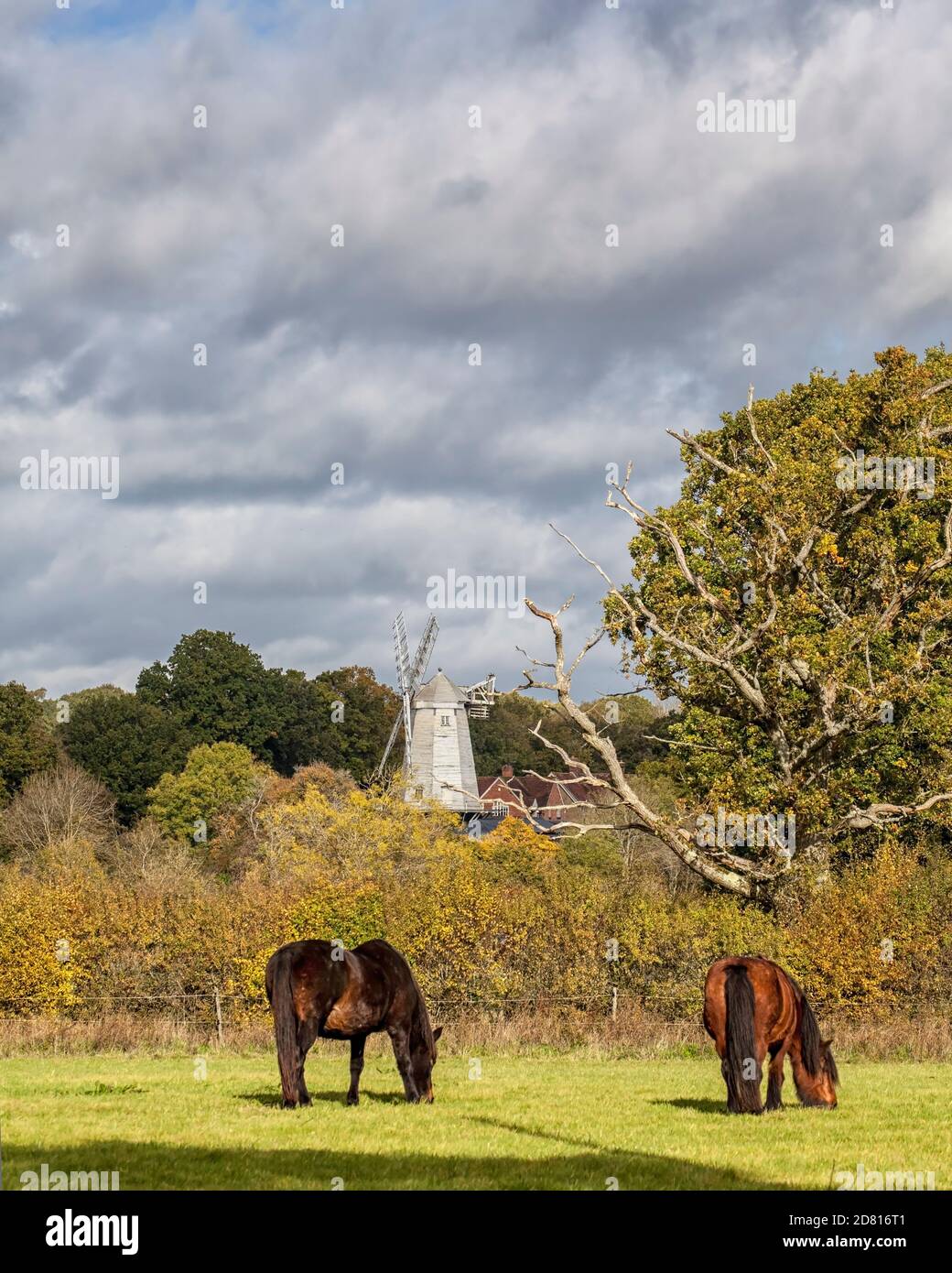View over Shipley Windmill, Sussex Stock Photo Alamy