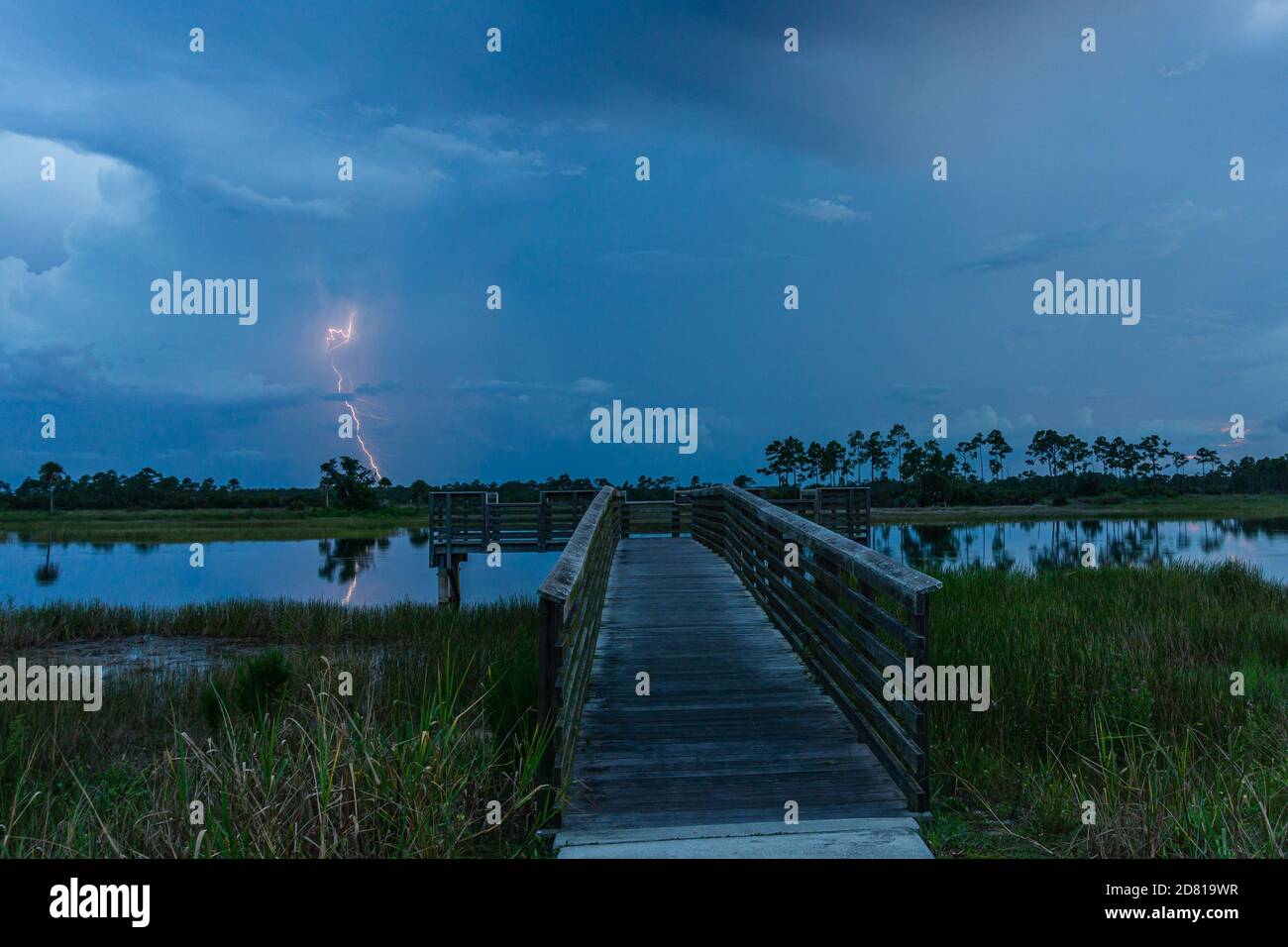 Lightning at sunset at Pine Glades Natural Area, Jupiter, Florida, Palm Beach County, USA Stock Photo