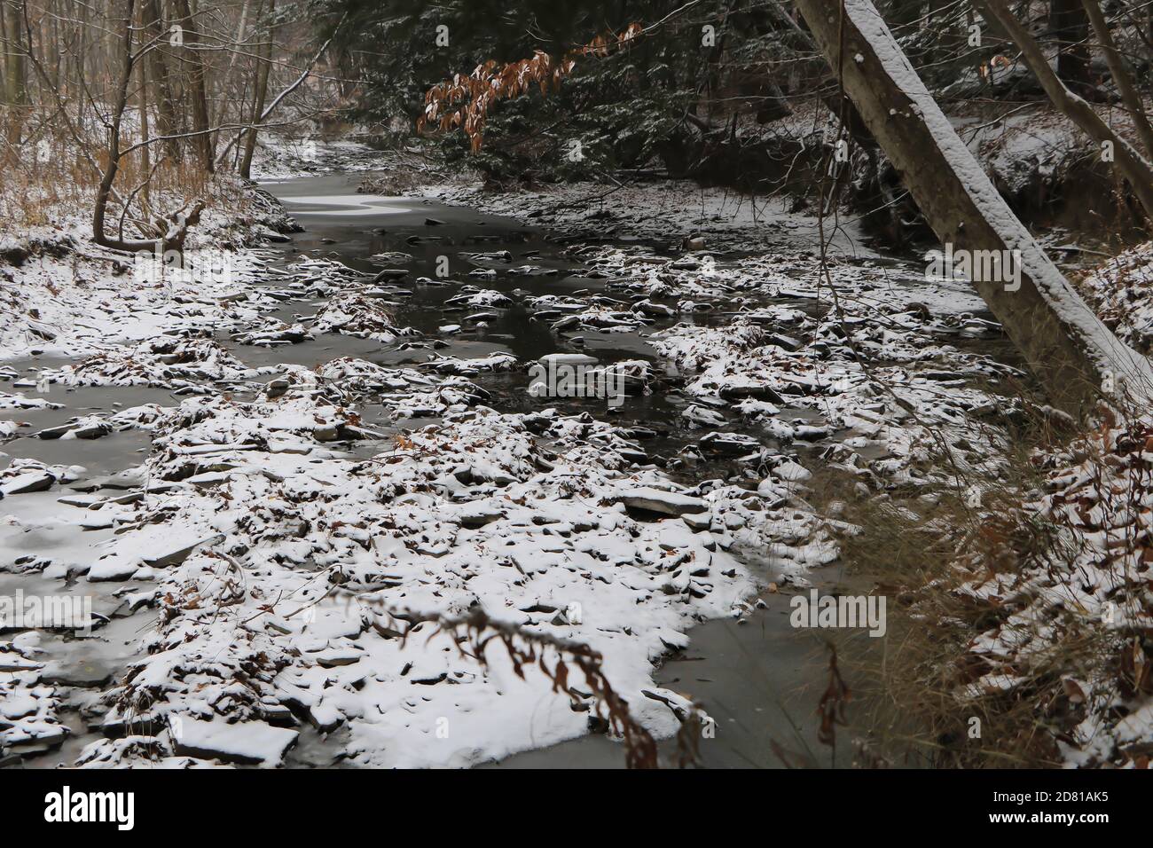 Snowy Sheridan Creek, Rattray Marsh, Ontario Stock Photo