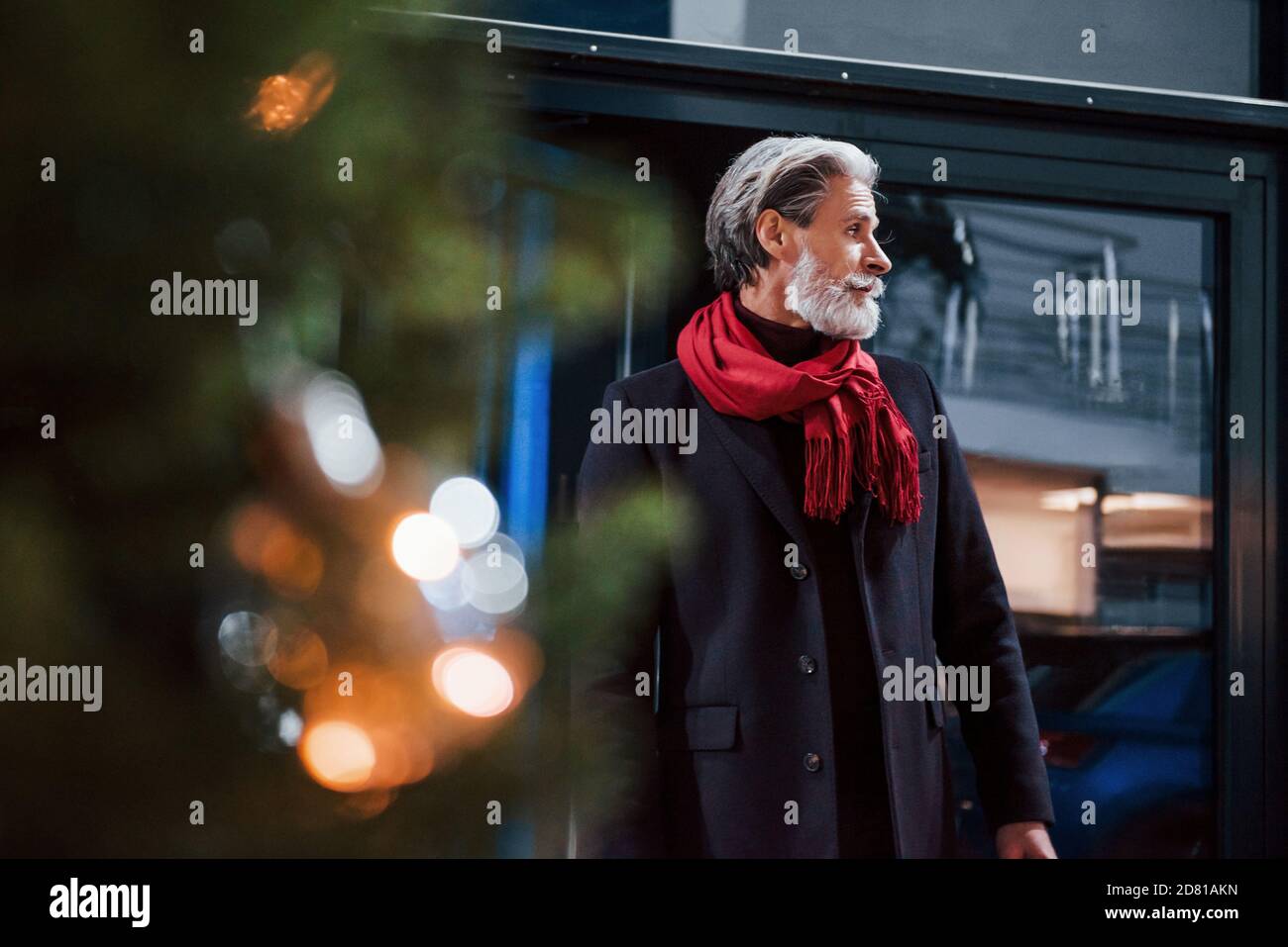 Old man with grey hair hi-res stock photography and images - Alamy