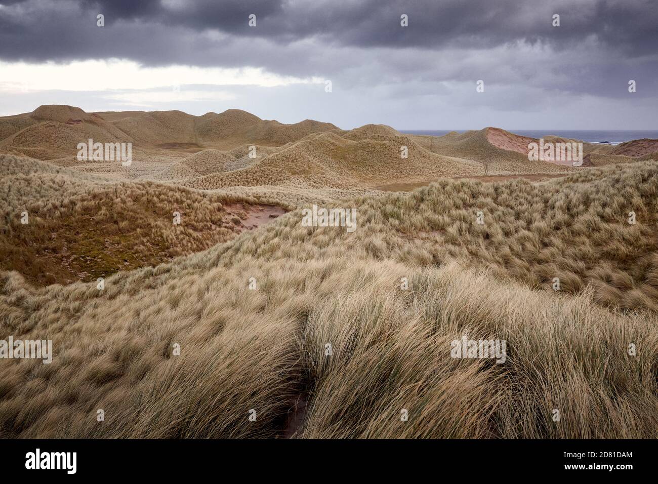 Windswept sand dunes in the remote north Stock Photo