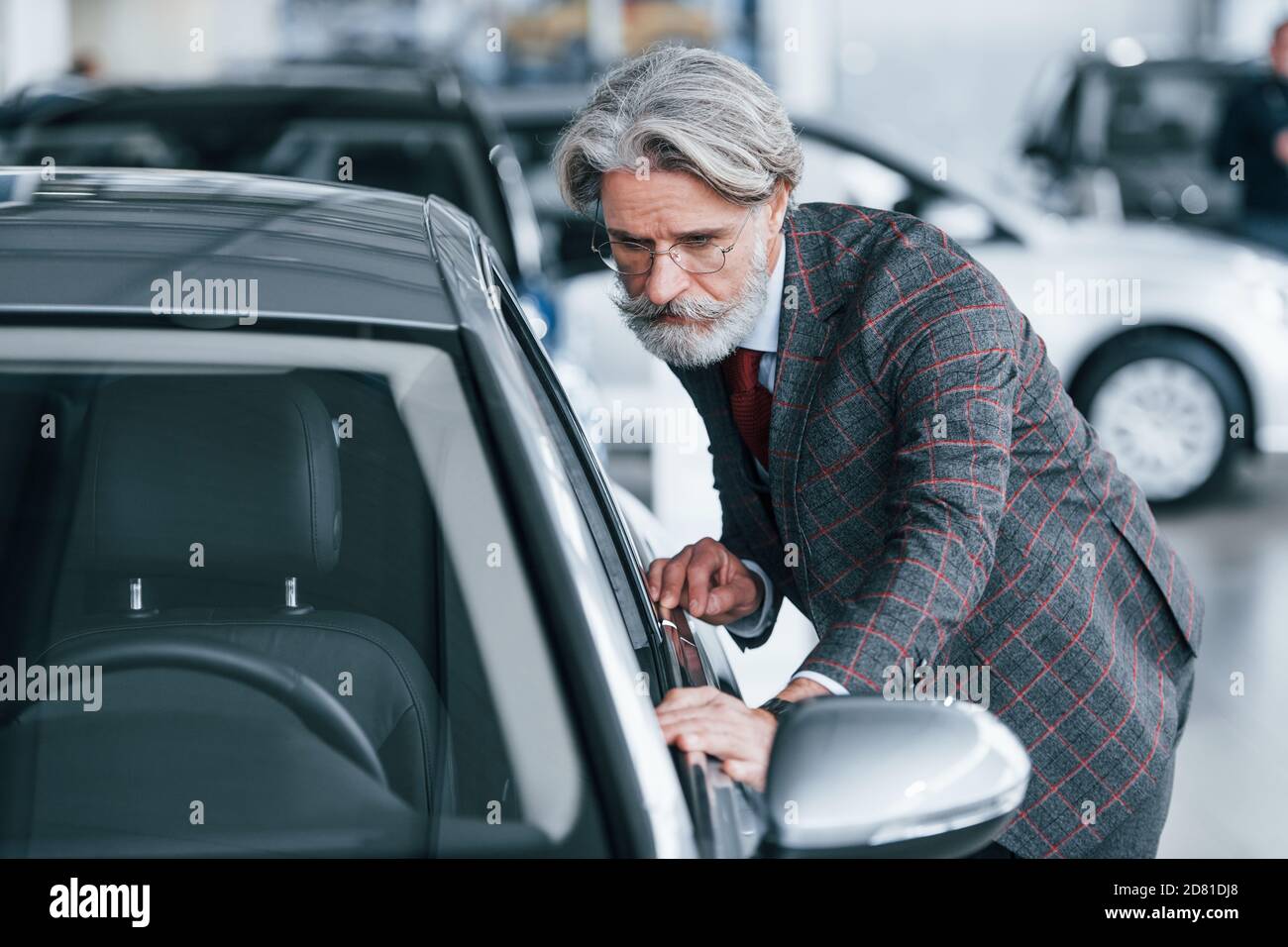 Fashionable old man with grey hair and mustache touching new car indoors in salon Stock Photo