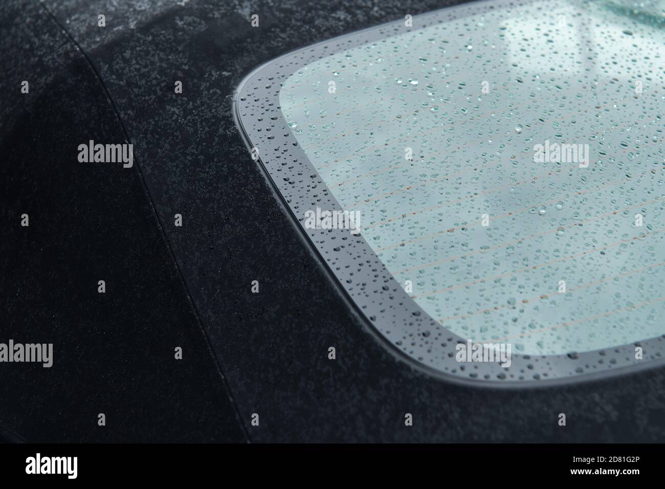 Clean and Protect Convertible Top of Vehicle. Cabriolet Fabric Roof