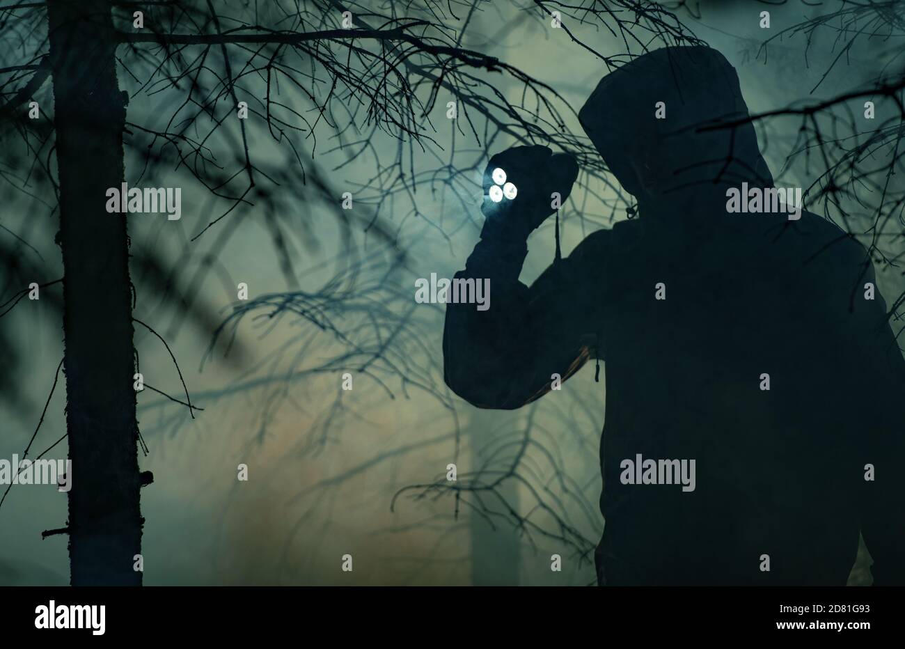 Men in his 40s with Flashlight Inside Dark Foggy Forest at Night. Performing Search During Night Hours. Missing People Theme. Stock Photo