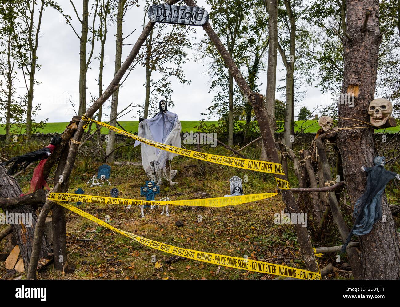 Spooky woodland Halloween trail with skulls, ghost and crime scene tape