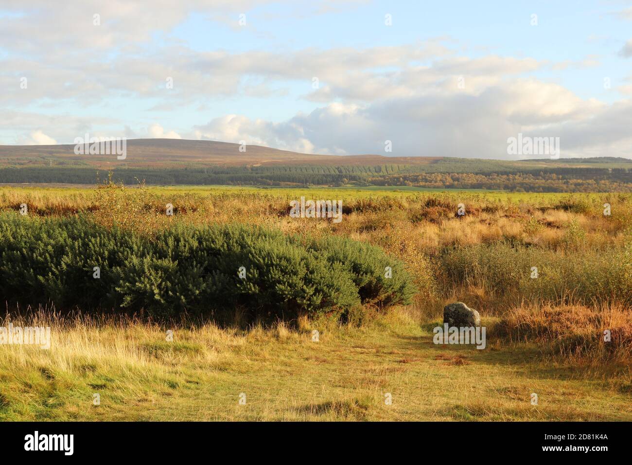 Culloden battlefield, Scotland Stock Photo Alamy