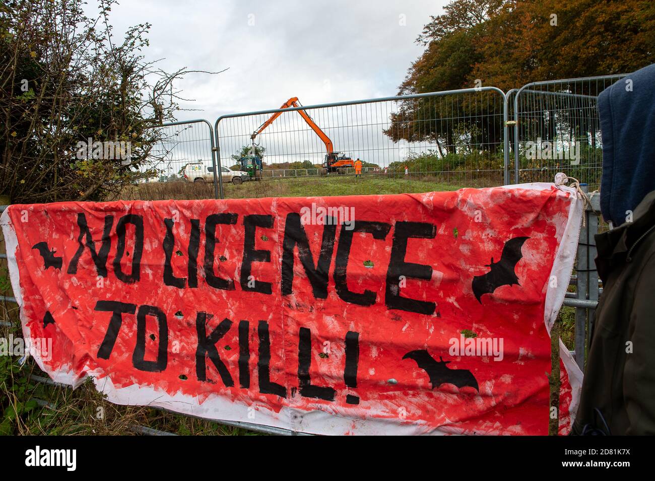 Aylesbury Vale, Buckinghamshire, UK. 26th October, 2020. Anti HS2 protesters at the site. HS2 are continuing to fell ancient woodland at Grim's Ditch in Buckinghamshire this morning. Anti HS2 environmental campaigners allege that HS2 do not have a bat licence for felling in these ancient woodlands and so are potentially committing a wildlife crime. They have reported the matter to the Police again this morning an are awaiting a response. Construction of the High Speed Rail from London to Birmingham puts 108 ancient woodlands, 33 SSSIs and 693 wildlife sites at risk. Credit: Maureen McLean/Alam Stock Photo