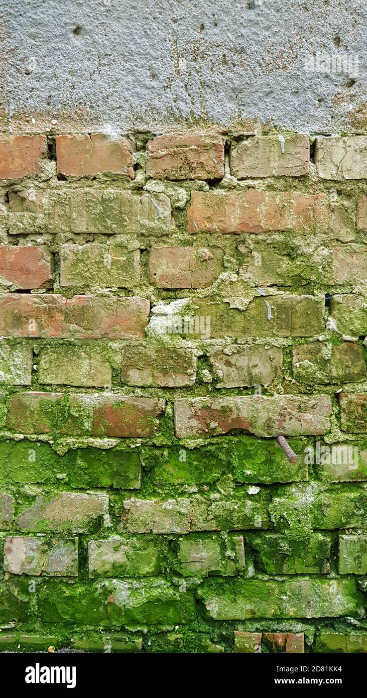 Twopart textured wall with rough cement surface and aged brickwork