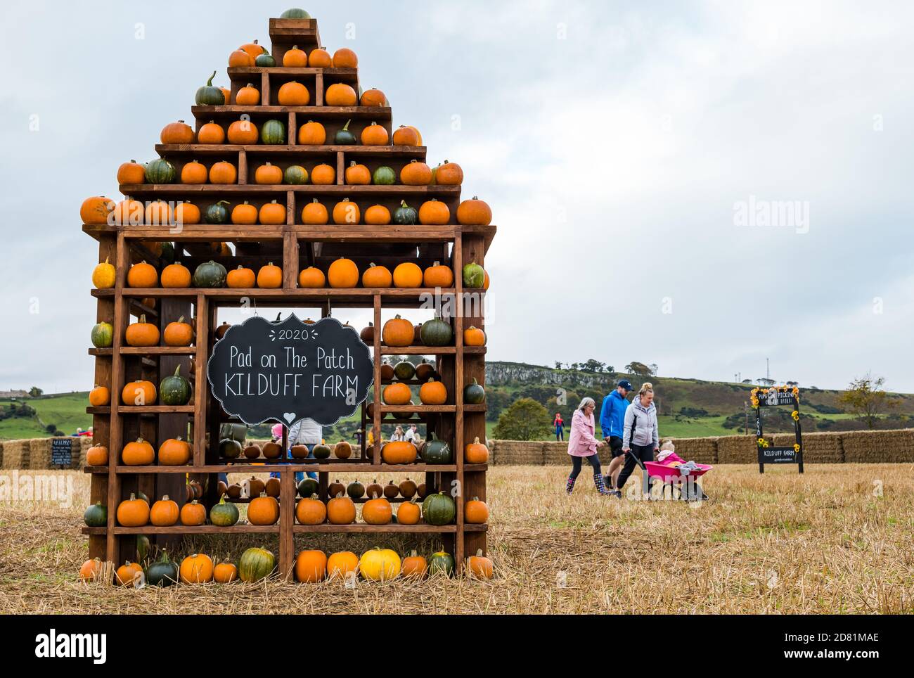 Pumpkin display at pumpkin patch, Kilduff Farm, East Lothian, Scotland, UK Stock Photo