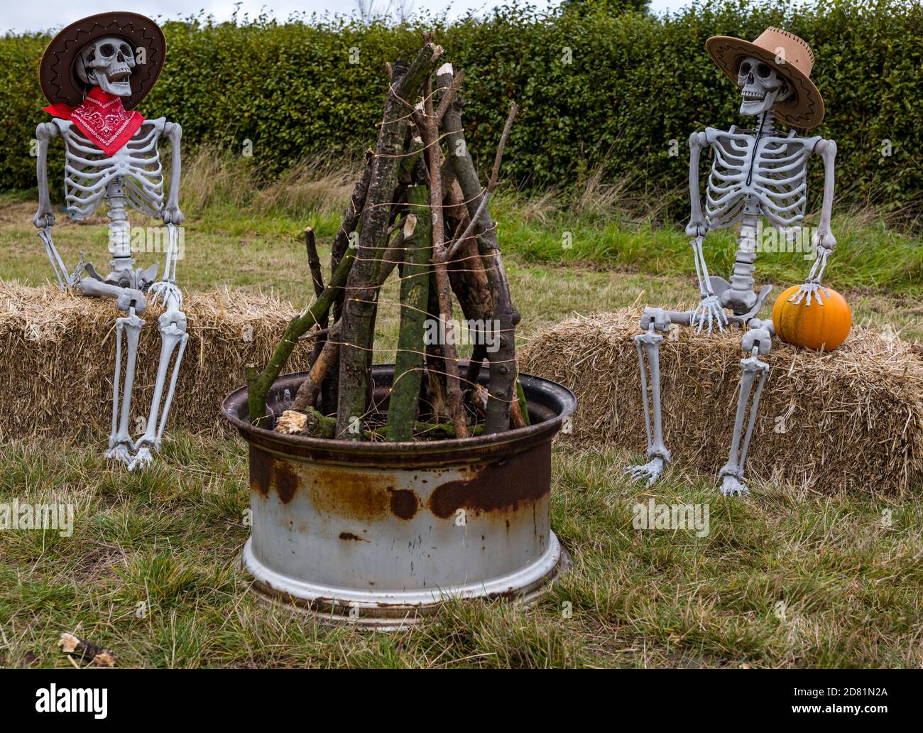 Humorous skeletons sitting on hay bales around camp fire, Kilduff pumpkin patch, East Lothian, Scotland, UK Stock Photo