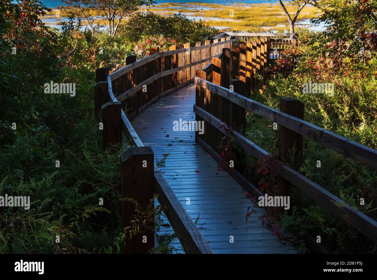 Boardwalk and overlook platform looking over south marsh, in early morning, at Jamaica Bay Wildlife Refuge Stock Photo