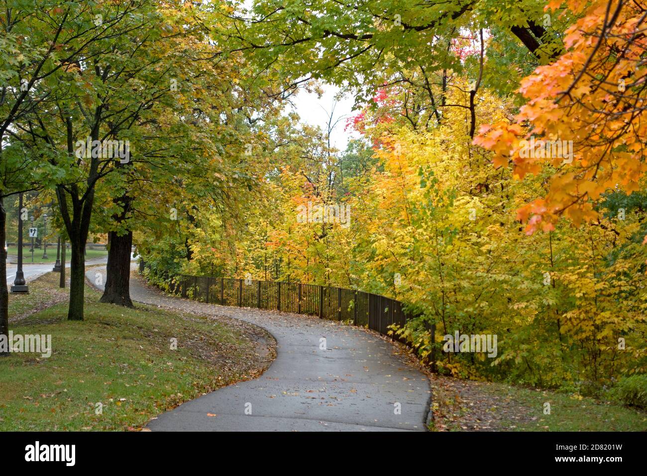 Trees changing color along a curved walkway on the North Mississippi