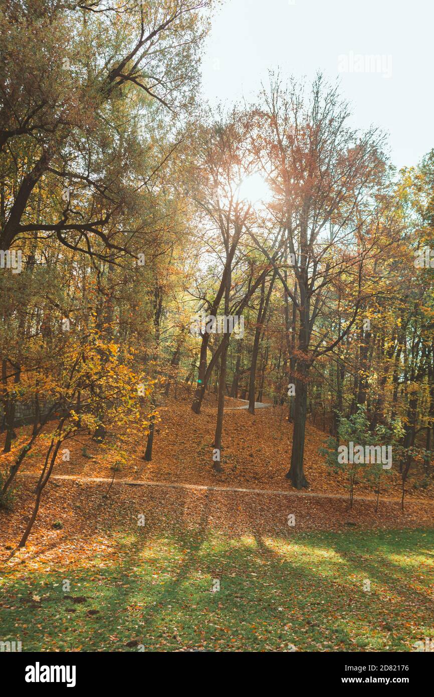 view of autumn city public park Stock Photo - Alamy