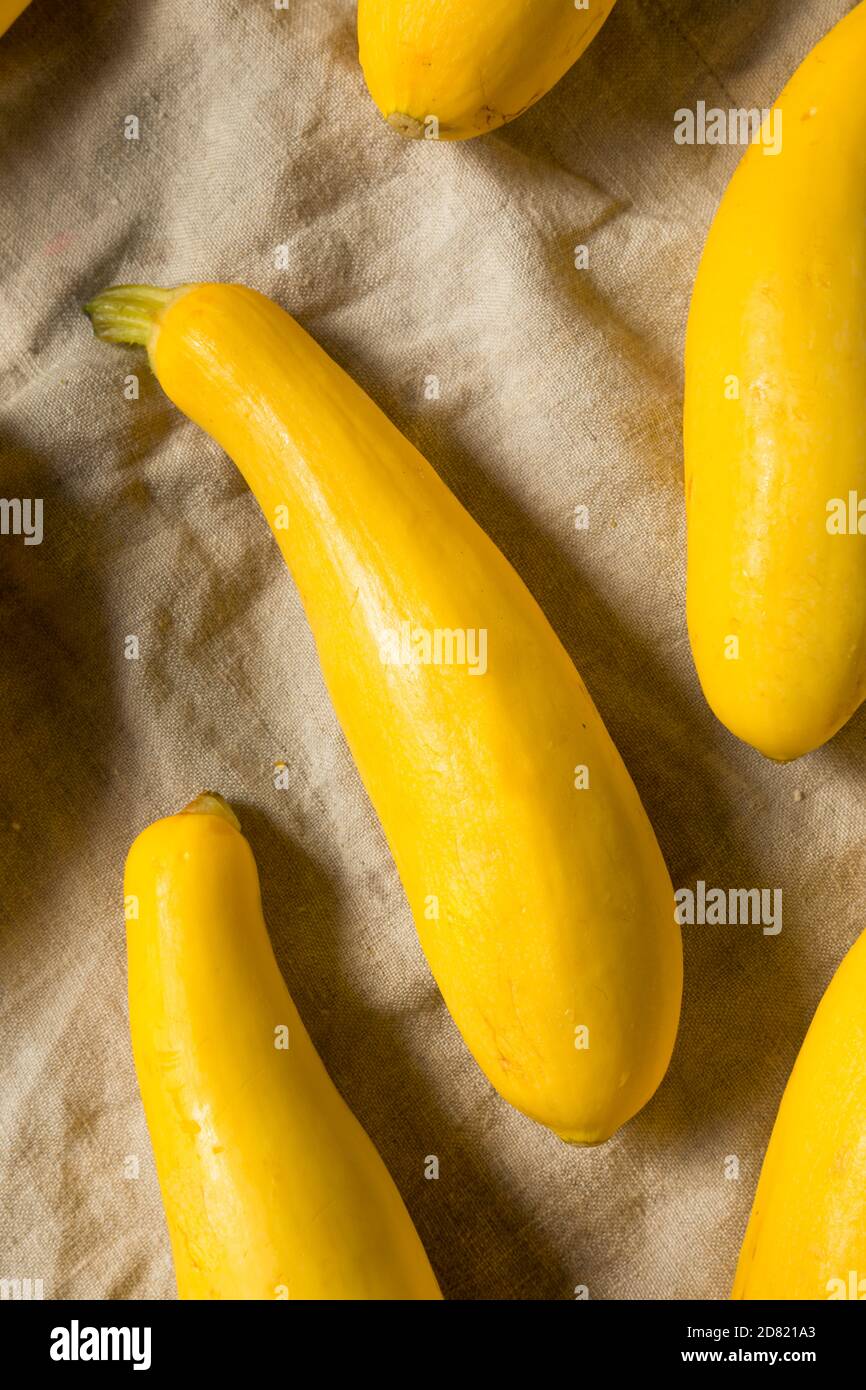 Raw Organic Yellow Zucchini Squash Ready to Cook Stock Photo Alamy