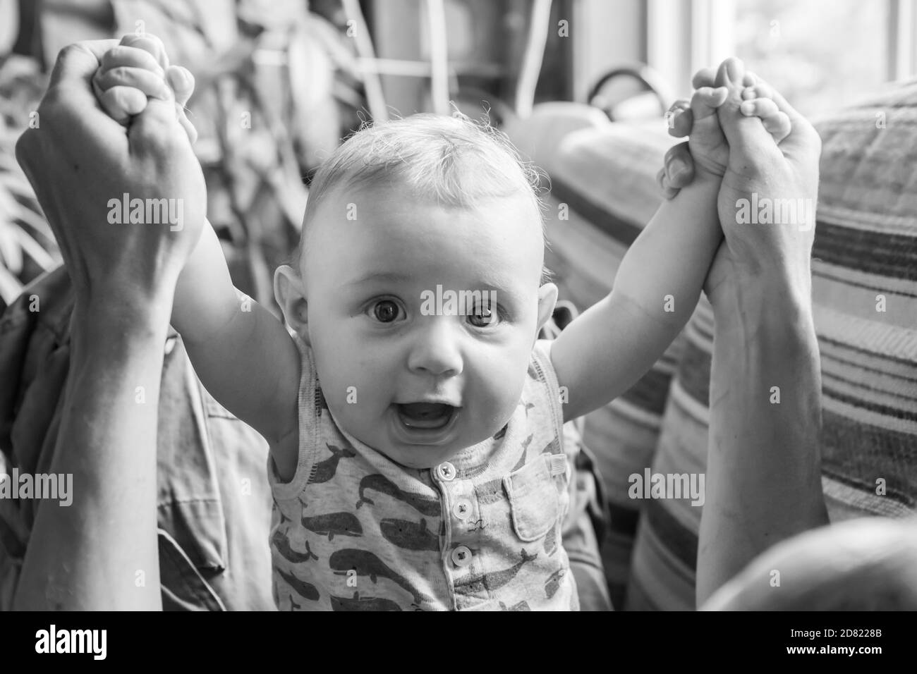 Black and white portrait of cute little infant baby boy, playing and holding father hands while man lying down on sofa at home and enjoying Stock Photo