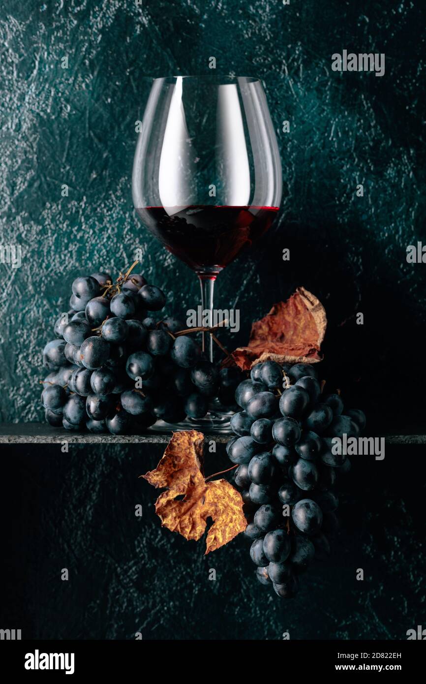 Glass of red wine and blue grapes with dried up vine leaves on an old ...