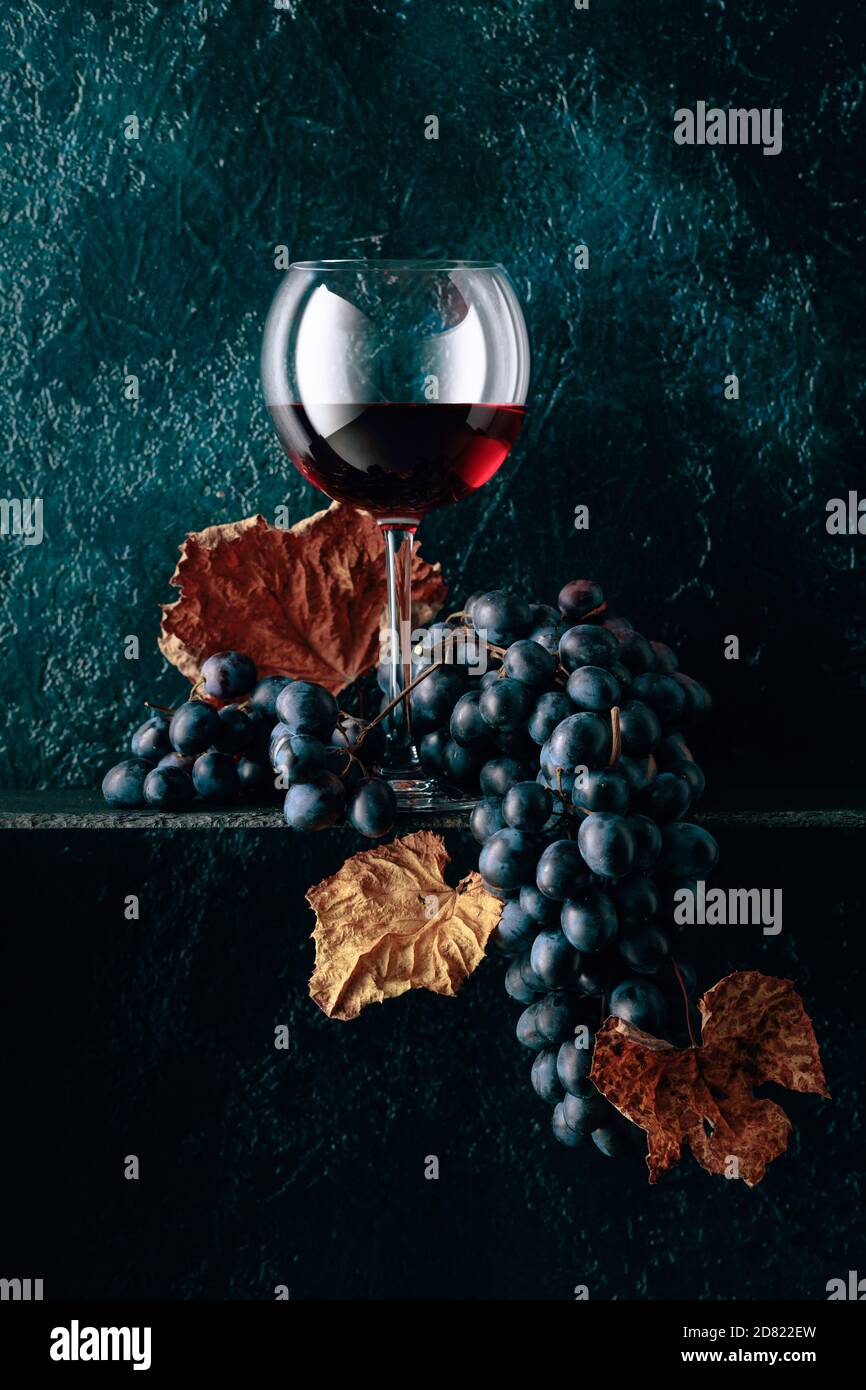 Glass of red wine and blue grapes with dried up vine leaves on an old ...