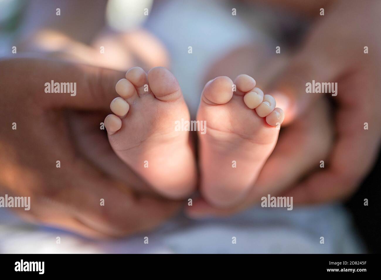 Newborn baby feet in parents’ hands. Sun beam. Close up Stock Photo