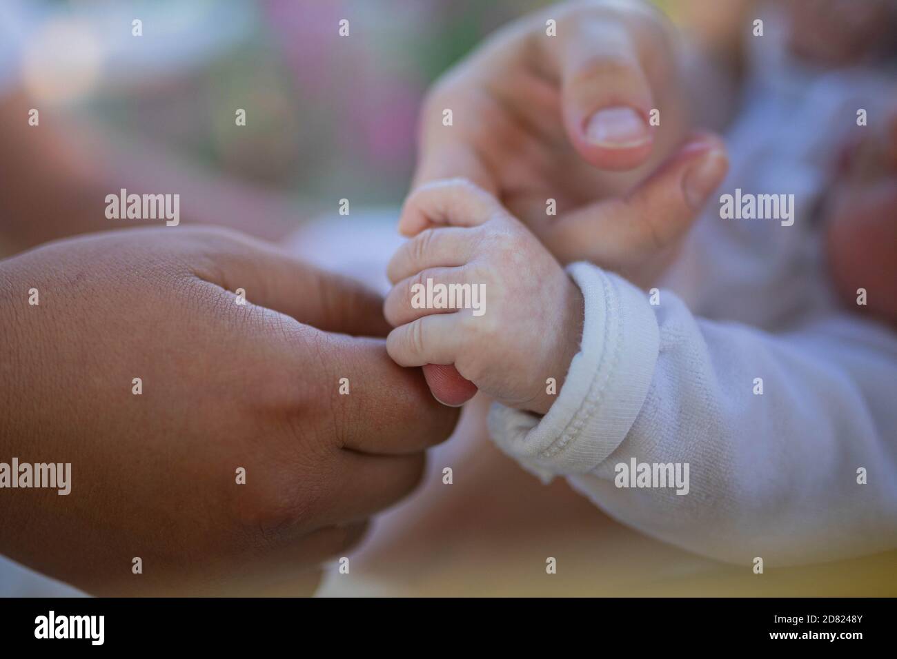 Baby hand holding mother’s hand. Outdoors. Close up Stock Photo